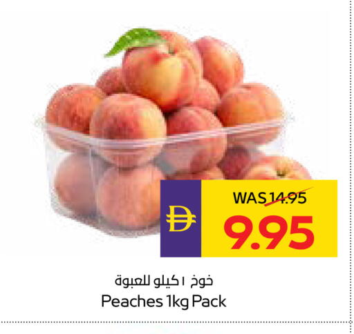 available at ADCOOP in UAE - Abu Dhabi
