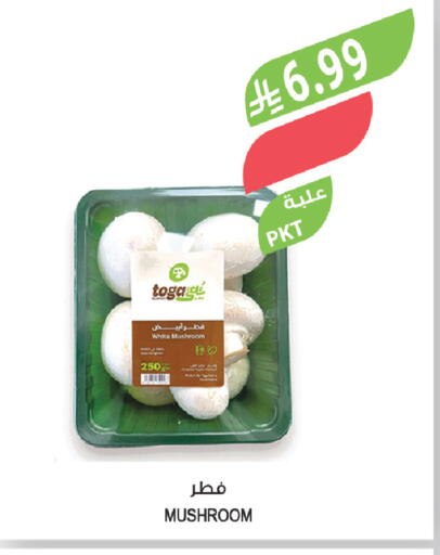 Mushroom available at Farm  in KSA, Saudi Arabia, Saudi - Jeddah