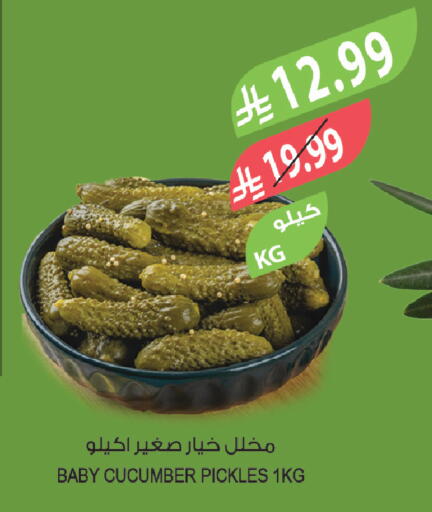 Cucumber available at المزرعة in مملكة العربية السعودية, السعودية, سعودية - الخبر‎