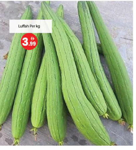 available at جلف هايبرماركت ذ.م.م in الإمارات العربية المتحدة , الامارات - رَأْس ٱلْخَيْمَة