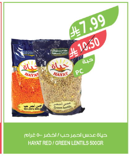available at المزرعة in مملكة العربية السعودية, السعودية, سعودية - الخرج