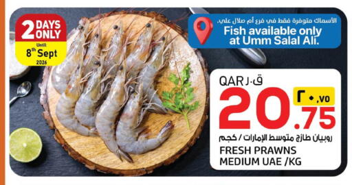 available at السعودية in قطر - الخور