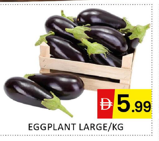 Eggplant available at المدينة in الإمارات العربية المتحدة , الامارات - دبي