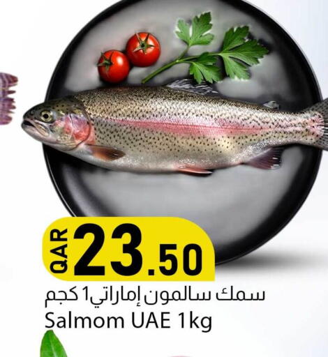 available at دانا ماركت in قطر - الشحانية