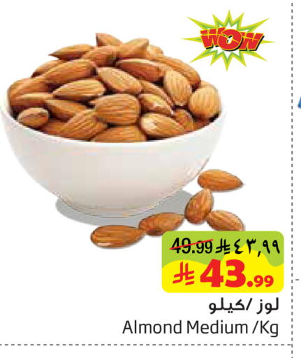 available at Layan Hyper in KSA, Saudi Arabia, Saudi - Dammam
