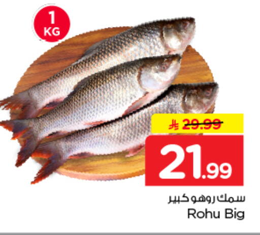 available at نستو in مملكة العربية السعودية, السعودية, سعودية - الخرج