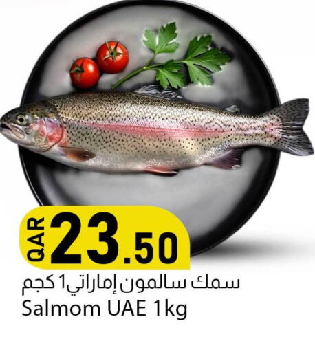 available at دانا ماركت in قطر - الشحانية