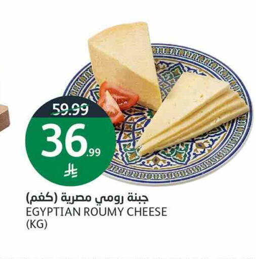 available at أسواق الجزيرة in مملكة العربية السعودية, السعودية, سعودية - الرياض