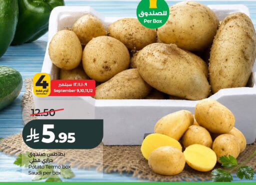 Potato from Saudi Arabia available at LULU Hypermarket in KSA, Saudi Arabia, Saudi - Al-Kharj