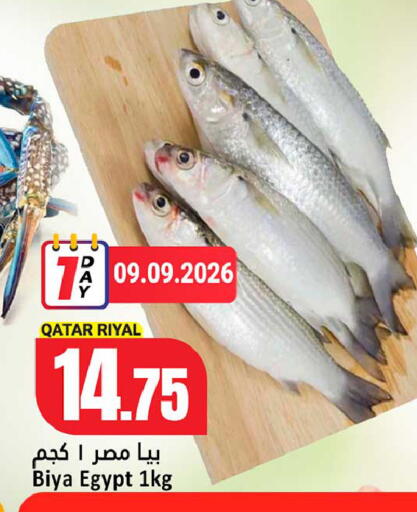from Qatar Egypt available at دانة هايبرماركت in قطر - الشحانية