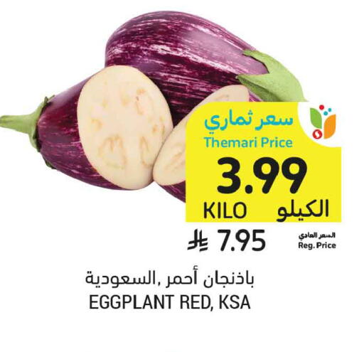 Eggplant available at Tamimi Market in KSA, Saudi Arabia, Saudi - Jeddah
