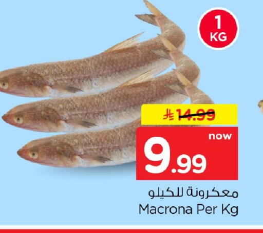 available at نستو in مملكة العربية السعودية, السعودية, سعودية - الخبر‎