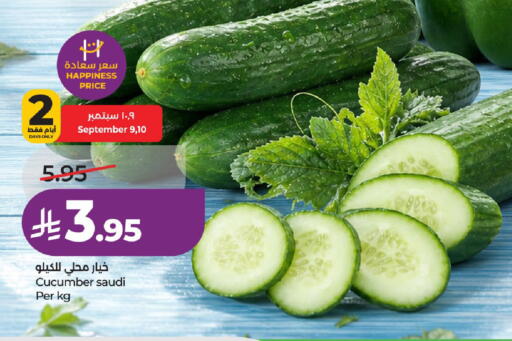 Cucumber from Saudi Arabia available at LULU Hypermarket in KSA, Saudi Arabia, Saudi - Al-Kharj