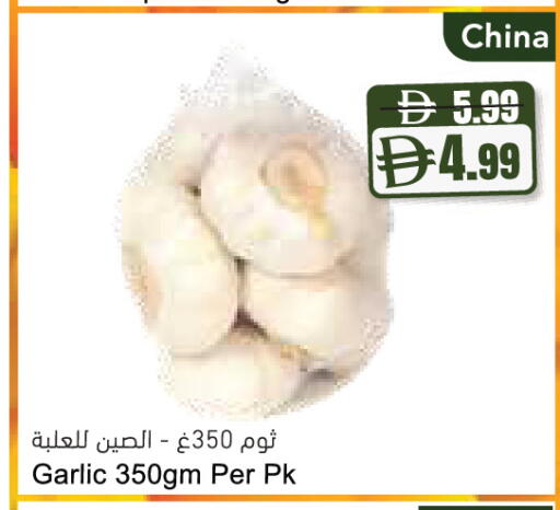 Garlic from China available at Almaya Supermarkets in UAE - Ras al Khaimah