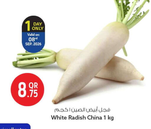 Radish from China available at سفاري هايبر ماركت in قطر - الضعاين