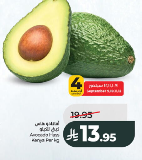 Avocado from Kenya available at LULU Hypermarket in KSA, Saudi Arabia, Saudi - Jeddah