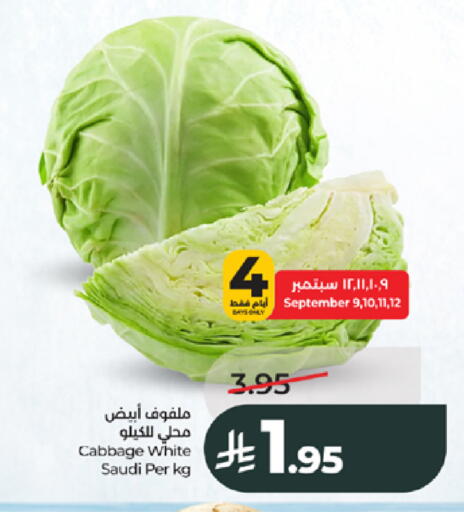 Cabbage from Saudi Arabia available at لولو هايبرماركت in مملكة العربية السعودية, السعودية, سعودية - جدة