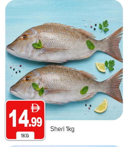 available at TALAL MARKET in UAE - Dubai
