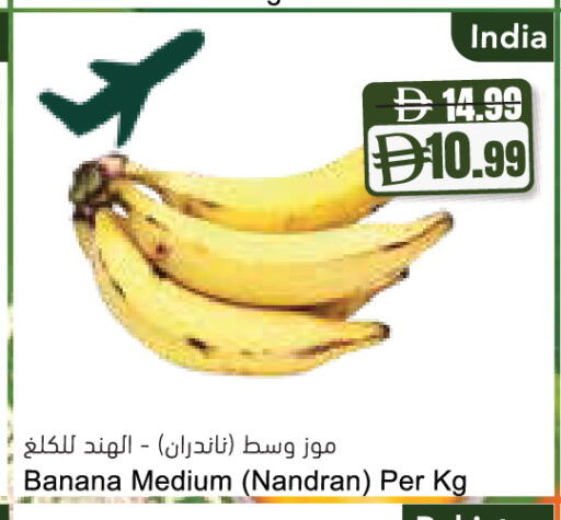Banana from India available at Almaya Supermarkets in UAE - Ras al Khaimah