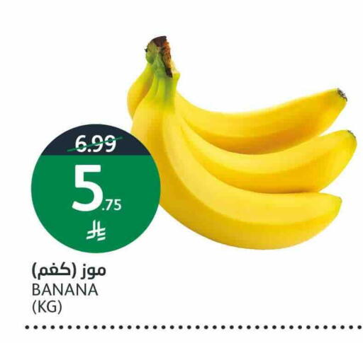 Banana available at أسواق الجزيرة in مملكة العربية السعودية, السعودية, سعودية - الرياض