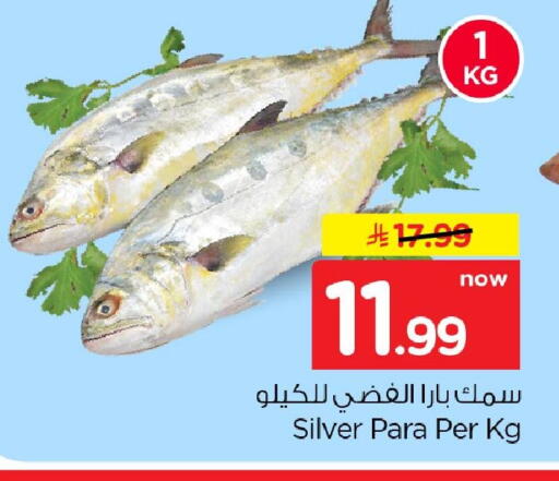 available at نستو in مملكة العربية السعودية, السعودية, سعودية - الخبر‎