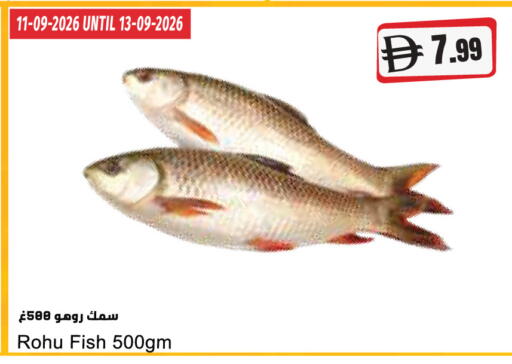 available at Almaya Supermarkets in UAE - Ras al Khaimah