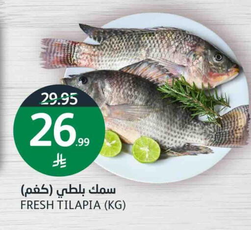 available at أسواق الجزيرة in مملكة العربية السعودية, السعودية, سعودية - الرياض