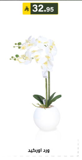 available at الحسين توب أب in مملكة العربية السعودية, السعودية, سعودية - الرياض