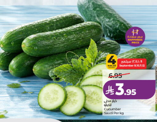 Cucumber from Saudi Arabia available at لولو هايبرماركت in مملكة العربية السعودية, السعودية, سعودية - جدة
