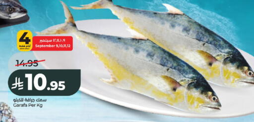 available at LULU Hypermarket in KSA, Saudi Arabia, Saudi - Al-Kharj