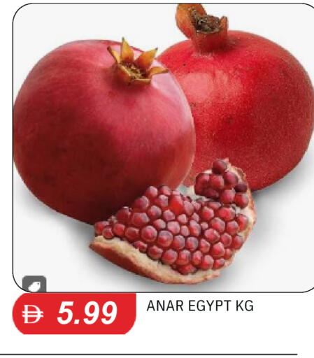 from Egypt available at TALAL MARKET in UAE - Dubai