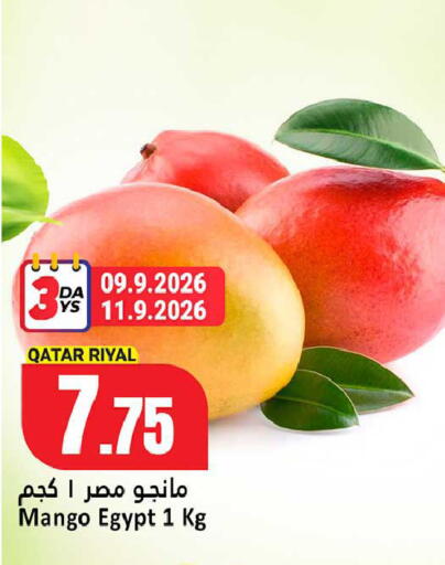 Mango from Qatar Egypt available at دانة هايبرماركت in قطر - الشحانية