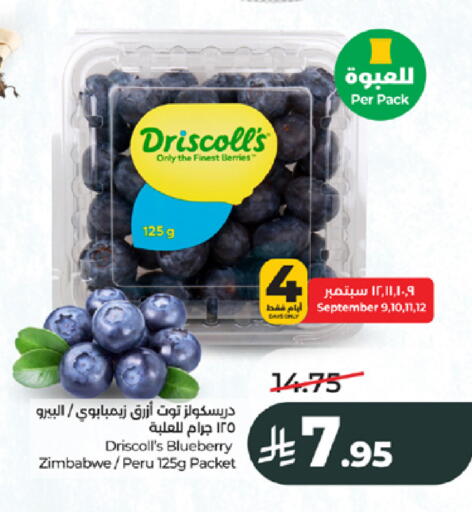 Blueberry BlueBerry from Zimbabwe available at LULU Hypermarket in KSA, Saudi Arabia, Saudi - Jeddah
