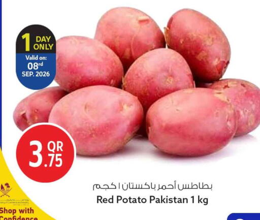 Potato from Pakistan available at سفاري هايبر ماركت in قطر - الضعاين