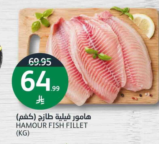 available at أسواق الجزيرة in مملكة العربية السعودية, السعودية, سعودية - الرياض