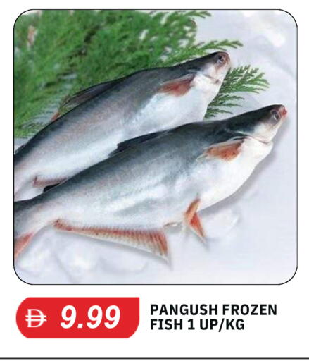 available at TALAL MARKET in UAE - Dubai