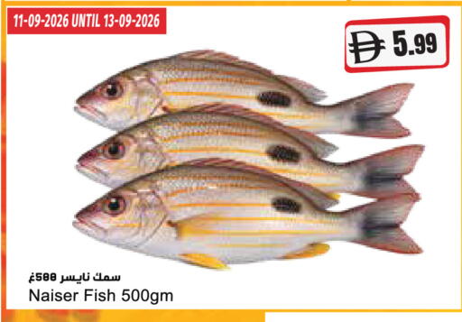 available at Almaya Supermarkets in UAE - Ras al Khaimah