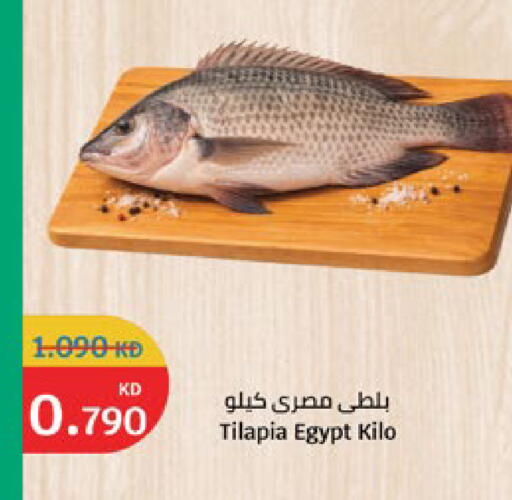 available at City Hypermarket in Kuwait - Jahra Governorate