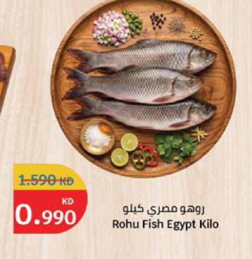 available at City Hypermarket in Kuwait - Jahra Governorate