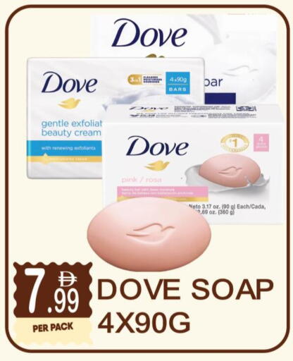 available at Dream Land in UAE - Dubai