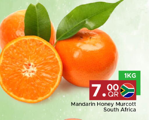 Mandarin from South Africa available at Family Food Centre in Qatar - Al Rayyan