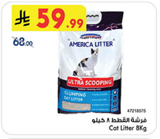 available at Bin Dawood in KSA, Saudi Arabia, Saudi - Medina