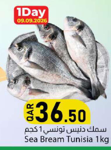 available at دانا ماركت in قطر - الدوحة