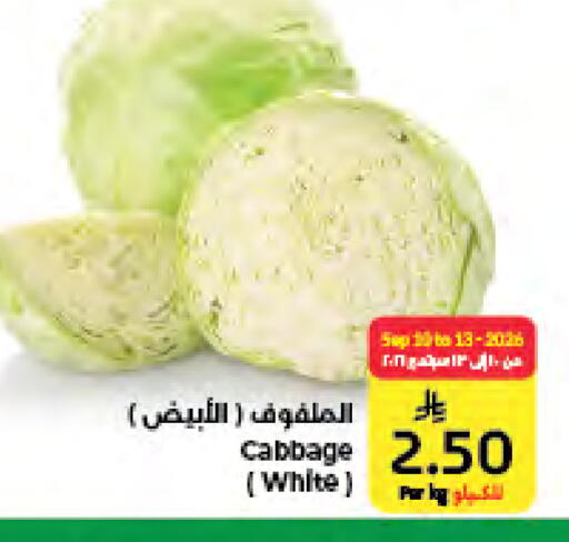 Cabbage available at كبايان هايبرماركت in مملكة العربية السعودية, السعودية, سعودية - جدة