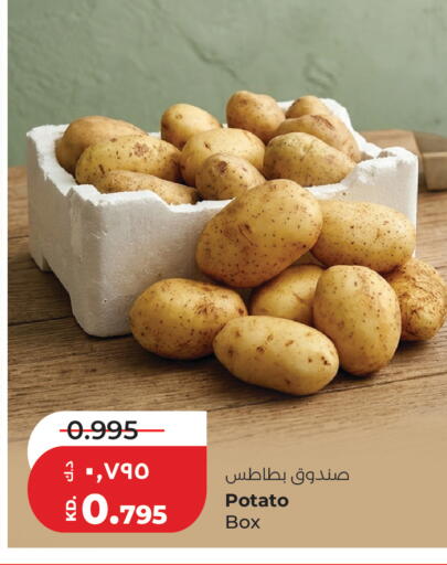 Potato available at Lulu Hypermarket  in Kuwait - Jahra Governorate