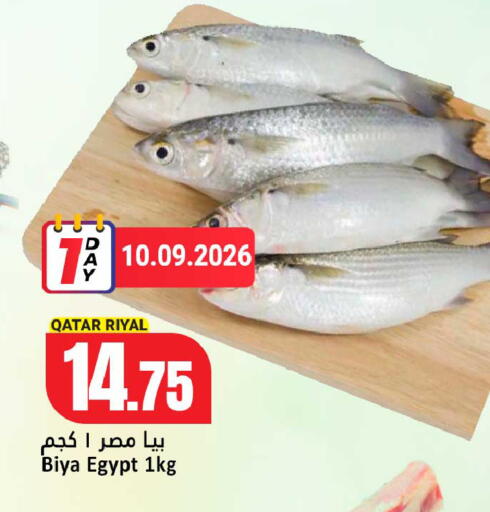 from Qatar Egypt available at دانة هايبرماركت in قطر - أم صلال
