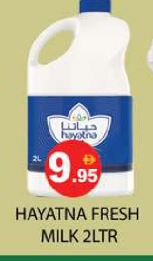 available at زين مارت سوبرماركت in الإمارات العربية المتحدة , الامارات - رَأْس ٱلْخَيْمَة