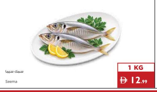available at إسطنبول سوبرماركت in الإمارات العربية المتحدة , الامارات - أبو ظبي