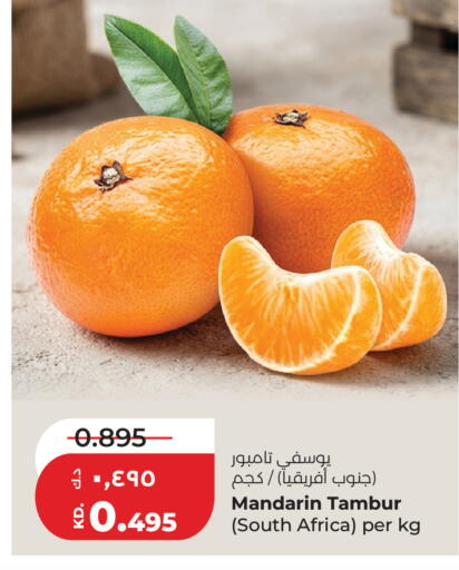 Mandarin from South Africa available at Lulu Hypermarket  in Kuwait - Jahra Governorate
