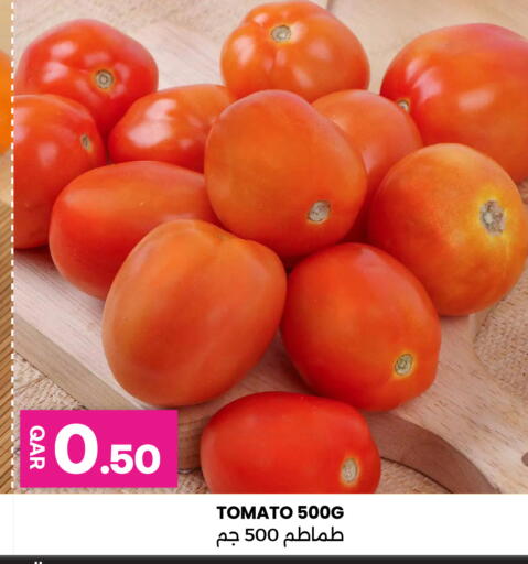 Tomato available at أنصار جاليري in قطر - الضعاين